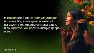 Свобода христианина. Никола Тауберт