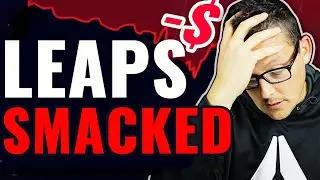 LEAPS Options Down HUGE! What Now?