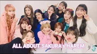 All about Sakura's harem
