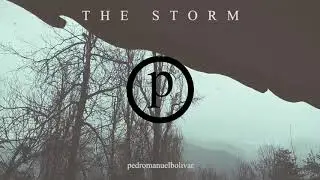 P - (The Storm)