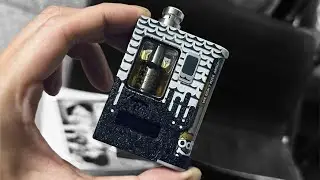 The Crown setup Harpy x Monarchy
