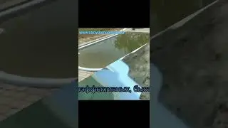 Басейн з накриттям під ключ за 60 секунд. 
