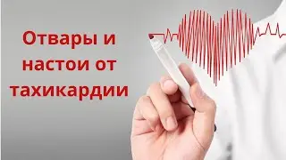 Лечение тахикардии народными средствами. Отвары и настои от тахикардии