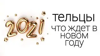 ТЕЛЬЦЫ. ЧТО ЖДЕТ В 2021 ГОДУ