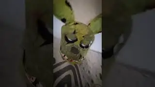 спрингтруп #спрингтрап #фнаф #fnaf #springtrap #shorts