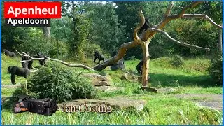 Apenheul in apeldoorn