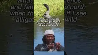 How Often Do I See Gators #shorts #alligator