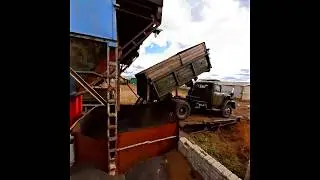 Уборка подсолнечника