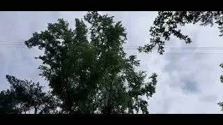 Опасность миновала. Последствия валяются,неубранны
