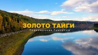 ЗОЛОТО ТАЙГИ. ПОДКАМЕННАЯ ТУНГУСКА