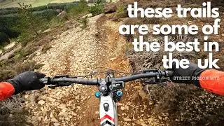 Exploring Innerleithen's MTB Trails on My New Intense Tazer Alloy Pro E-Bike | Golfie Adventure