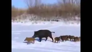 топ подпорка приколов!!!!! 1