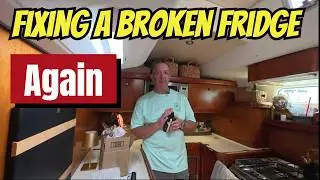 Liveaboard problems | Broken fridge, busy schedule, tight spaces