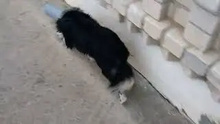 Жизнь труба!