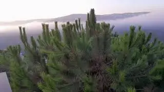 እንካን  ለደብረ ታቦር በሰላም አደረሳችሁ አደረሰን@እንሆ መንፈሳዊ  ንባብ ከጥዑም ግጥም ጋር @ይዬላችሁ ብቅ ብያለሁ @ብሩኅ ደመና@የማቲዬስ ፲፯÷፩