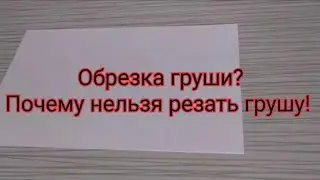 Обрезка груши. почему нельзя резать грушу.
