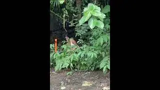 cewe hot lg ganti pakean, terlihat belahan jiwa