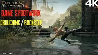 Dane's Footwork Crouching & Backstep Attacks