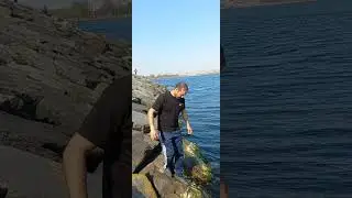 урта йер денгизи