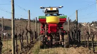 Lavorazioni vigneto 2020 * Sovescio | Pirodiserbo *