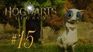 CATCHING BEASTS | Hogwarts Legacy (PS5) #15
