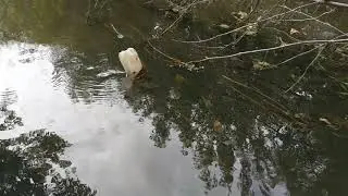 Катаемся по Урени
