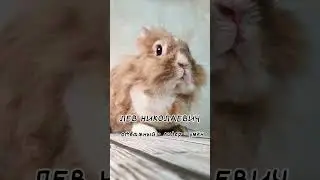 кого выбрал ты? 
