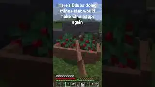 Bdubs listening to what Etho says 