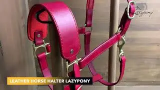 Leather horse halter Lazypony