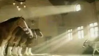 Budweiser Commercial - Clydesdales Donkey