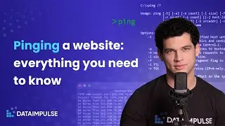Ping: what is it, and what insights can you get from pinging a website
