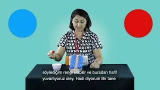 Altyazı Versiyon / Dikkat Ve Takip Becerisi
