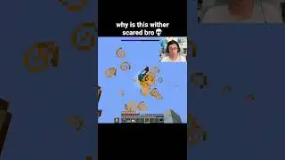Minecraft Wither Moment
