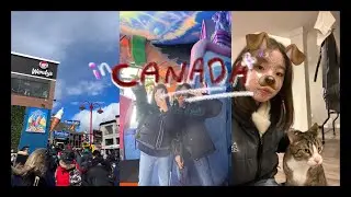 #6 ☃️16살 캐나다 유학생활🇨🇦 l 나이아가라폴스(Niagara Falls), 친구들과 놀기, 귀신의집, 고양이만나기 l 동고