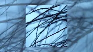 sonnov - Cijafi