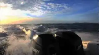7Seas Boat Light Jigging Pattaya Trip