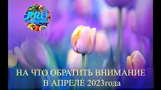НА ЧТО ОБРАТИТЬ ВНИМАНИЕ В АПРЕЛЕ 2023 года