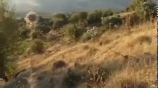 Magnifique scène de chasse dans les montagnes Catalanes