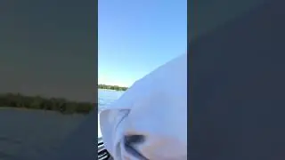 7 сентября 2018 г.