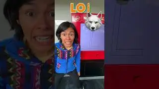 Palabras con la letra L 🦁 