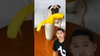 Banana Squishy! 🤯 