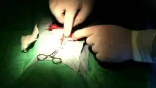 Dog Spay Part 1 (Please read description)