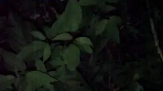 BLAIR WITCH PROJECT 3 LEAKED PREVIEW TRAILER