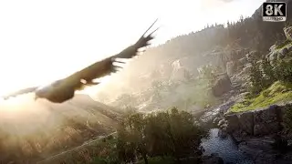 Levelling Up The RED DEAD REDEMPTION 2 Graphics With Realistic ReShade MOD! RTX4080 8K60FPS Gameplay