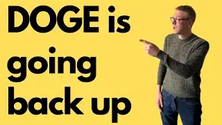 Dogecoin (DOGE) crypto review 2024 - can 8x with ease