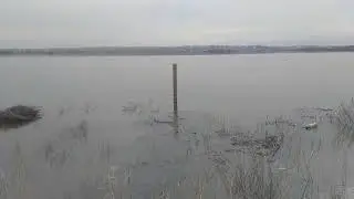 уровень воды в Урале в Новотроицке