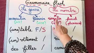 Le genre et le nombre en 2 min@LescoursdeSandra