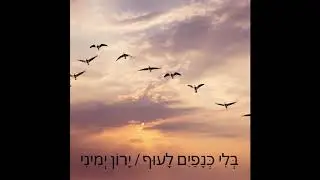 בְּלִי כְּנָפַיִם לָעוּף