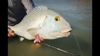 Kimberley Blue Bastards