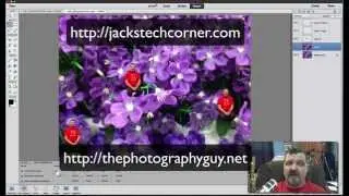 Photoshop Elements 13 Shrinking Subjects